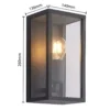 Aplique de exterior Lindby Peldar, antracita/transparente, 26 cm, metal