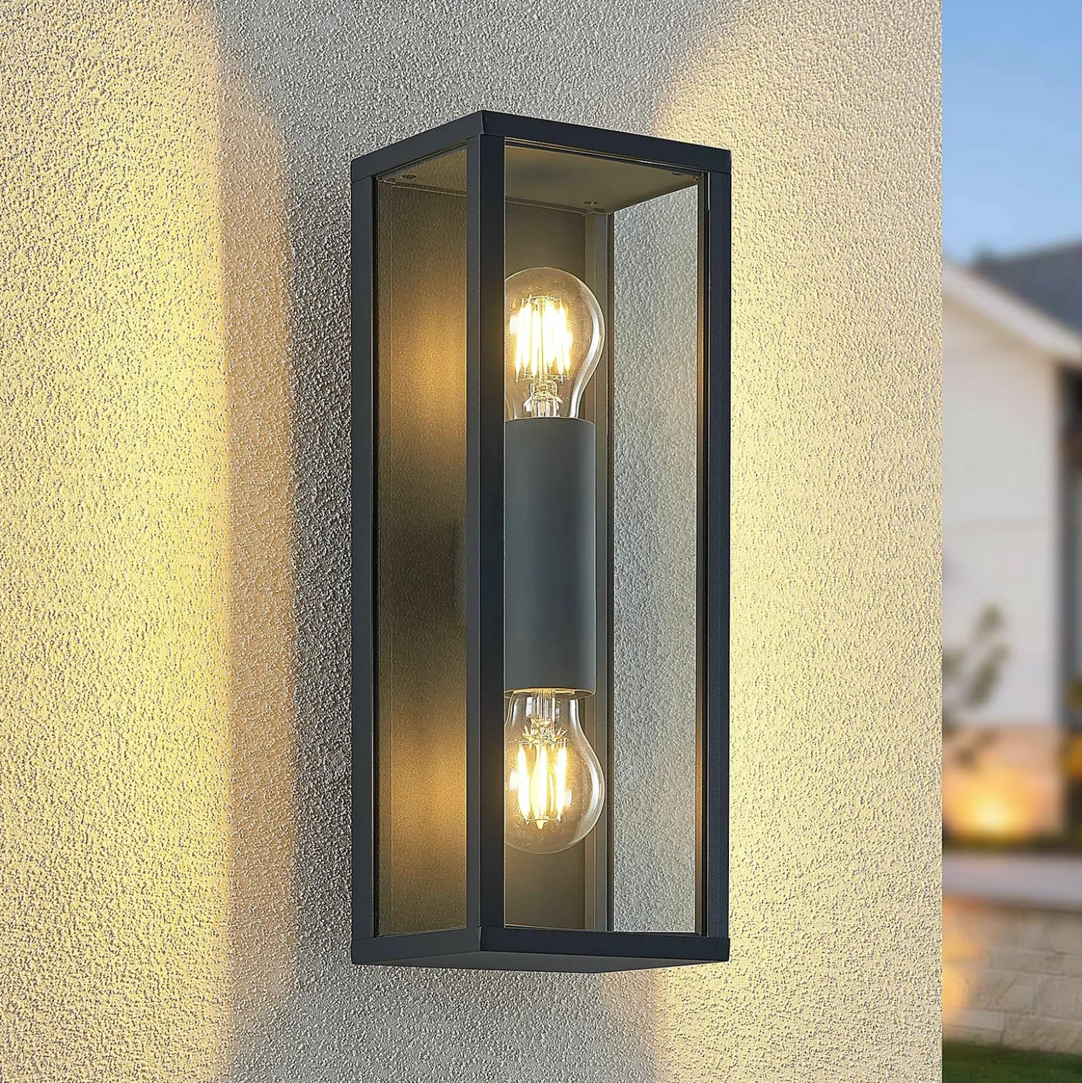 Aplique de exterior Lindby Peldar, transparente, con 2 luces, 38 cm, metal