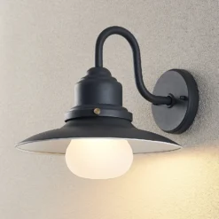 Aplique de exterior Lindby Roisin, antracita, metal, 31 cm