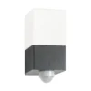 Aplique de exterior Linus, grafito, sensor, acero inoxidable, cristal, E27
