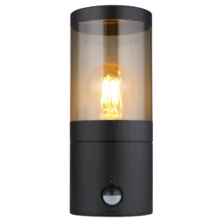 Aplique de exterior Xeloo, con sensor, negro/gris ahumado, IP44, E27