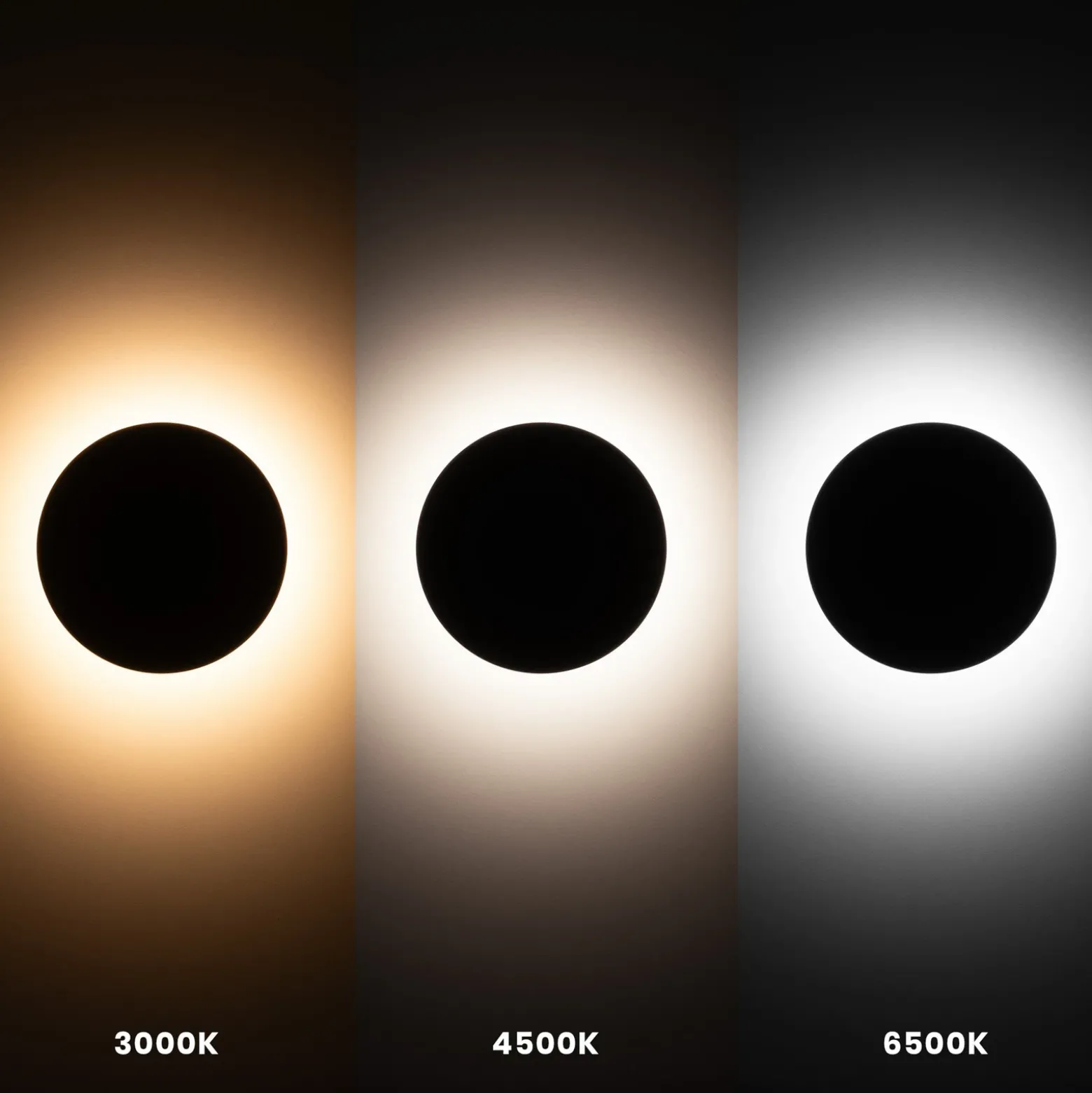 Aplique de pared LED Disk, Ø 18 cm, negro, plástico, IP65, CCT