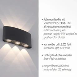Aplique LED para exterior Carlo de Paul Neuhaus, 17 cm, negro
