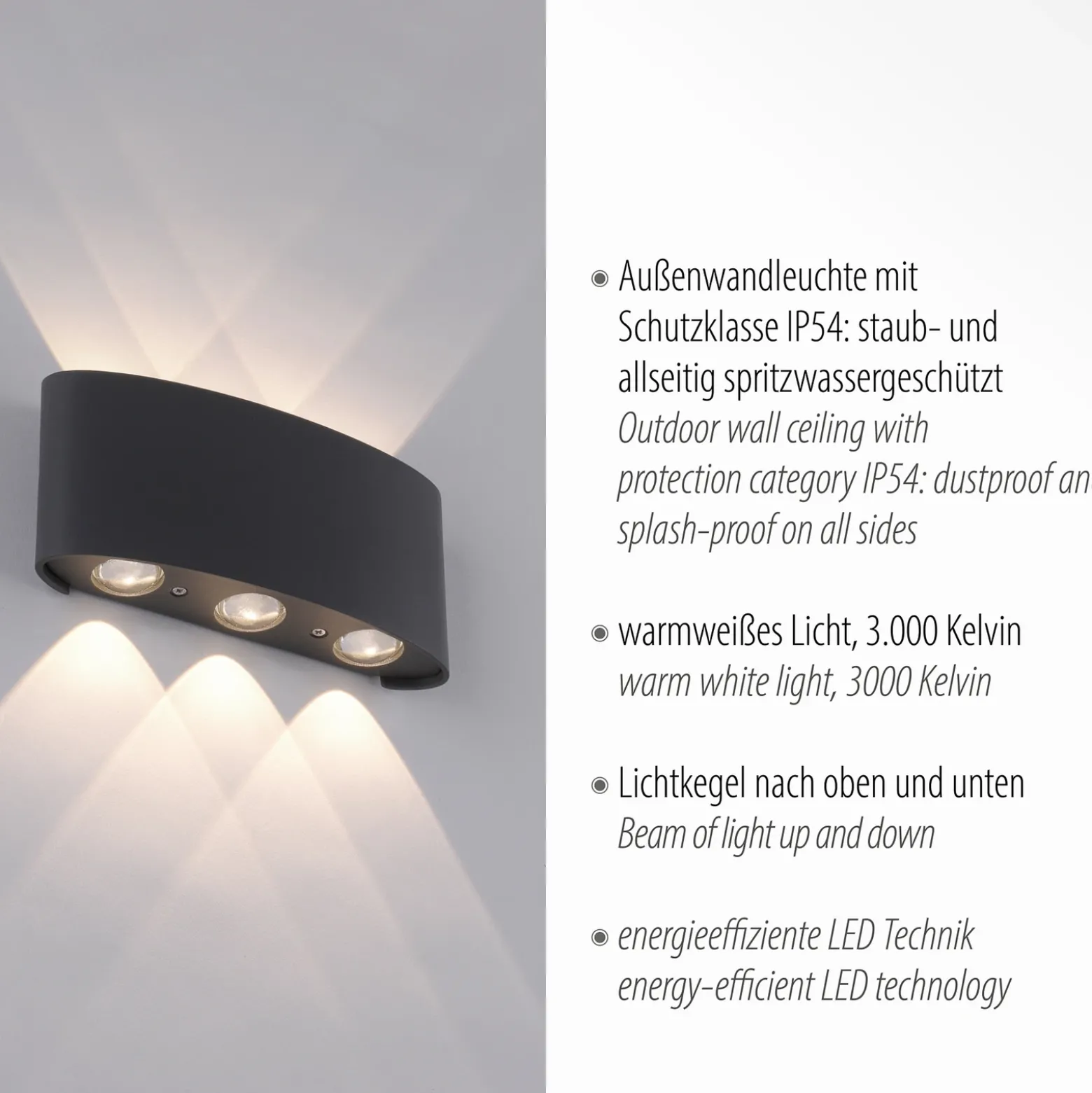 Aplique LED para exterior Carlo de Paul Neuhaus, 17 cm, negro