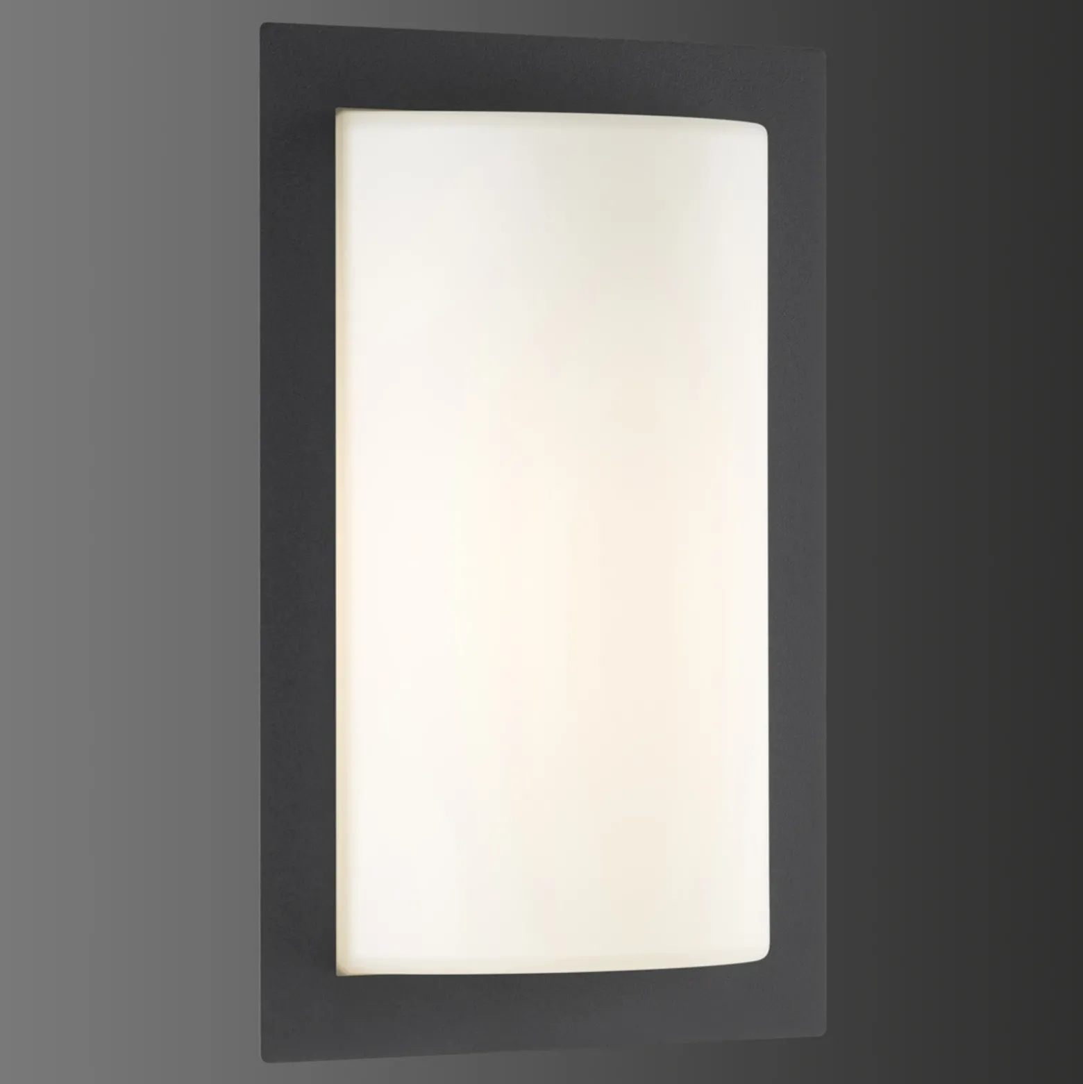Aplique LED para exterior Luis, color grafito, cristal, acero inoxidable