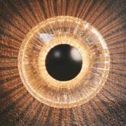 Aplique LED para exterior New Wave Optic, cristal, Ø 26 cm, IP65