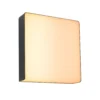 Aplique LED para exterior Paulmann Azalena ZigBee, 2200 K, negro