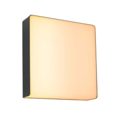 Aplique LED para exterior Paulmann Azalena ZigBee, 2200 K, negro