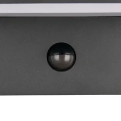 Aplique LED para exterior Ravi, antracita Ancho 18 cm Sensor, IP54