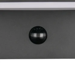 Aplique LED para exterior Ravi, antracita Ancho 18 cm Sensor, IP54
