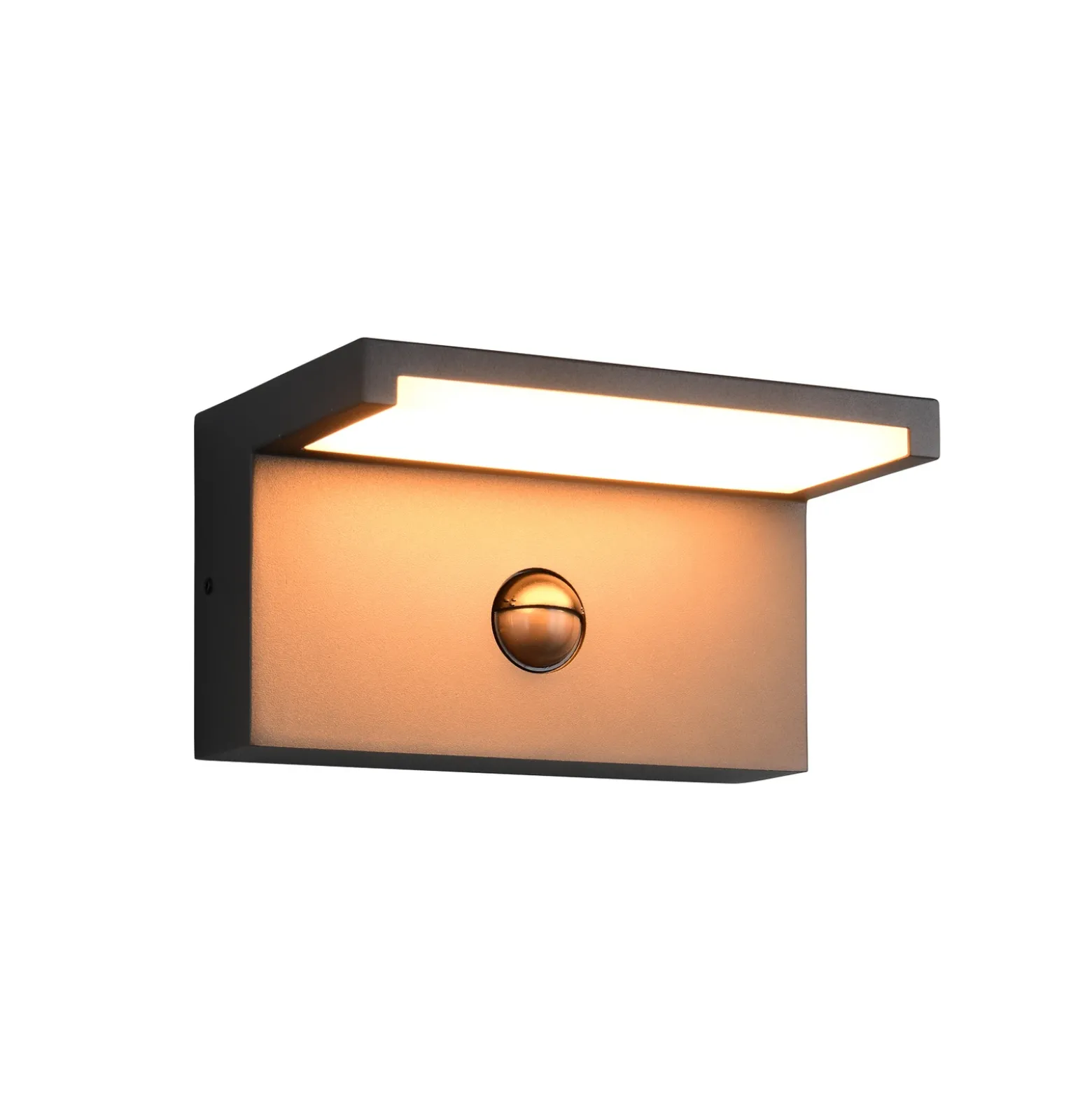Aplique LED para exterior Ravi, antracita Ancho 18 cm Sensor, IP54