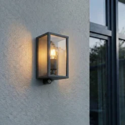 Aplique para exterior Lindby Peldar, antracita/transparente, 26 cm, sensor
