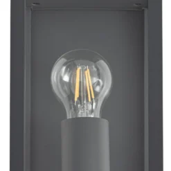 Aplique para exterior Lindby Peldar, antracita/transparente, 26 cm, sensor