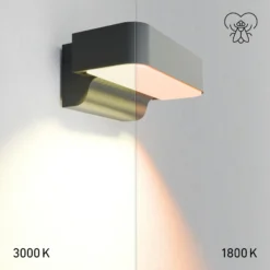 Apliqué LED para exterior STEINEL L 800 SC, antracita IP44