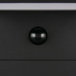 Bolardo luminoso LED Ravi, antracita, altura 100 cm, sensor, IP54