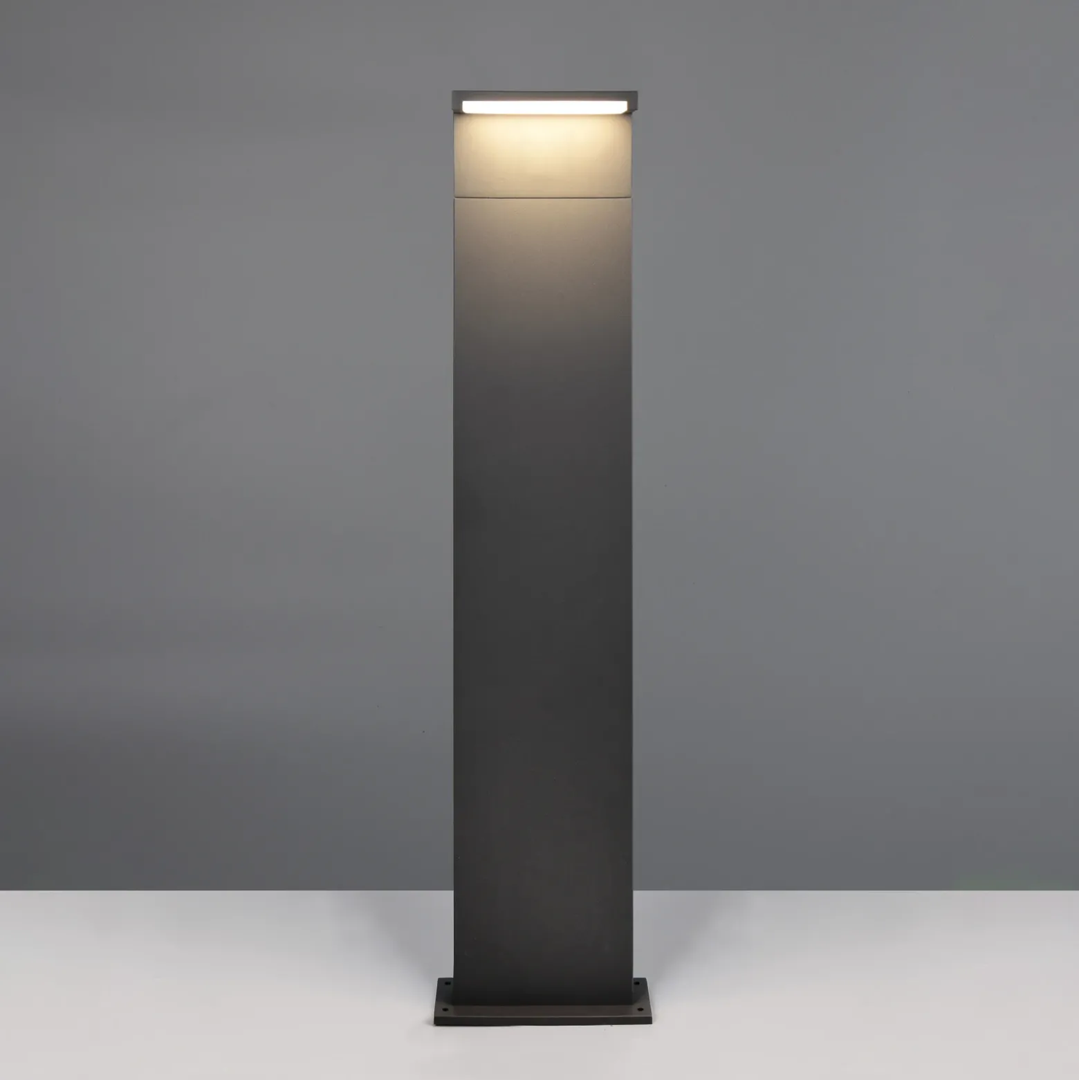 Bolardo luminoso LED Ravi, antracita, altura 100 cm, metal, IP65