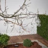 Cadena de luces LED Glow, transparente, blanco cálido, 190 cm de longitud