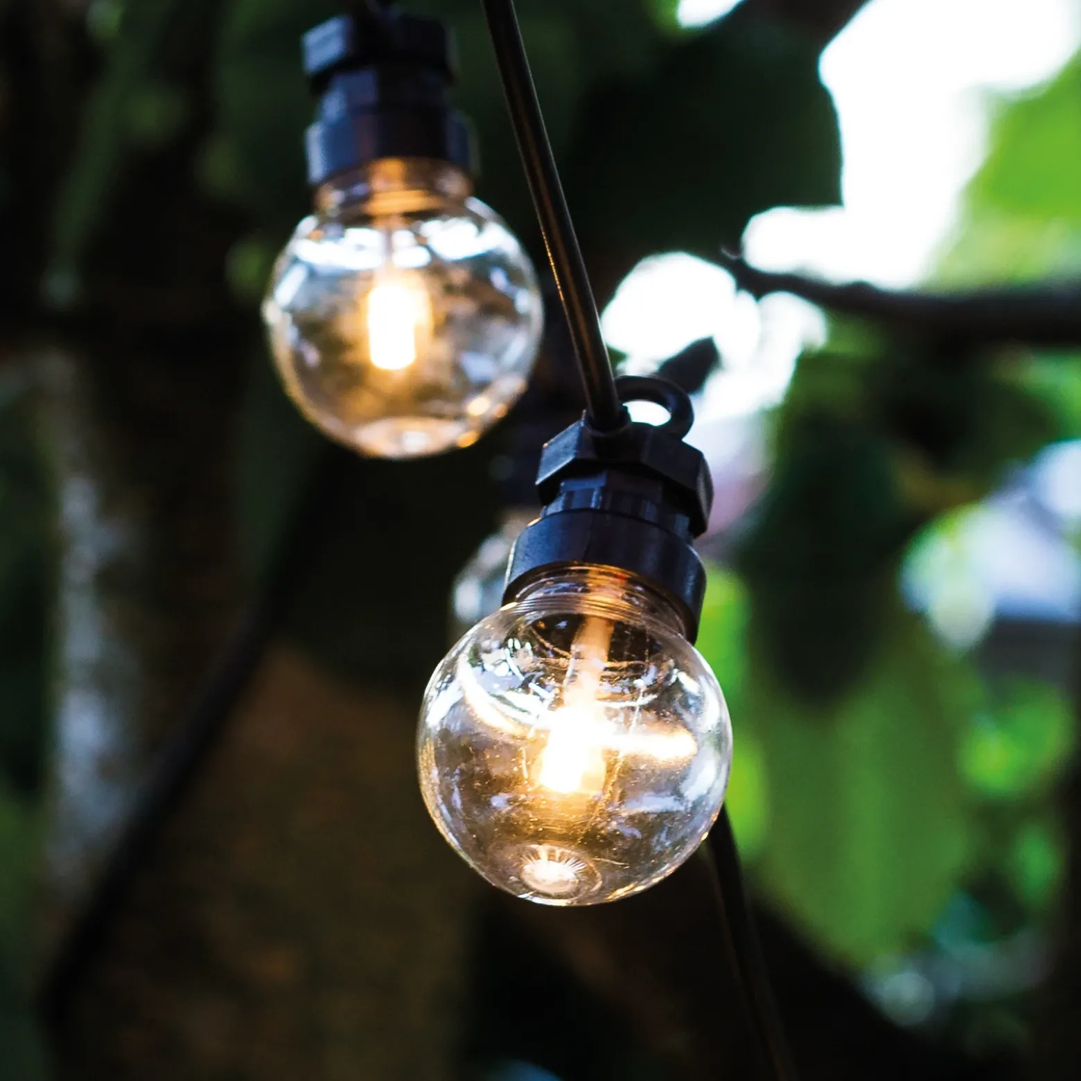 Cadena de luces LED Lucas, kit básico transparente, 10 luces, solar/enchufable