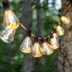 Cadena de luces LED Marcus transparente, kit de inicio, 3 m, solar/enchufe