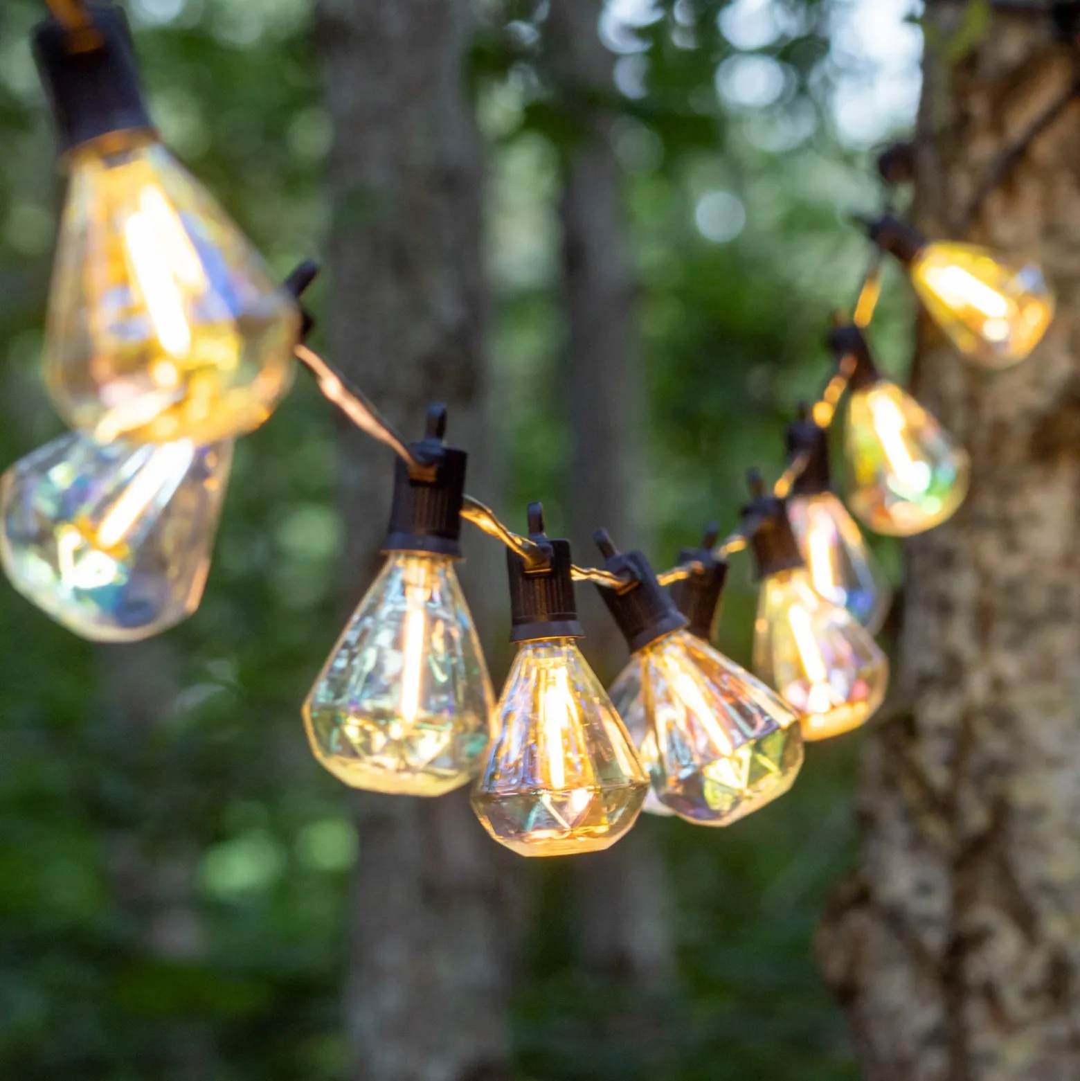 Cadena de luces LED Marcus transparente, kit de inicio, 3 m, solar/enchufe