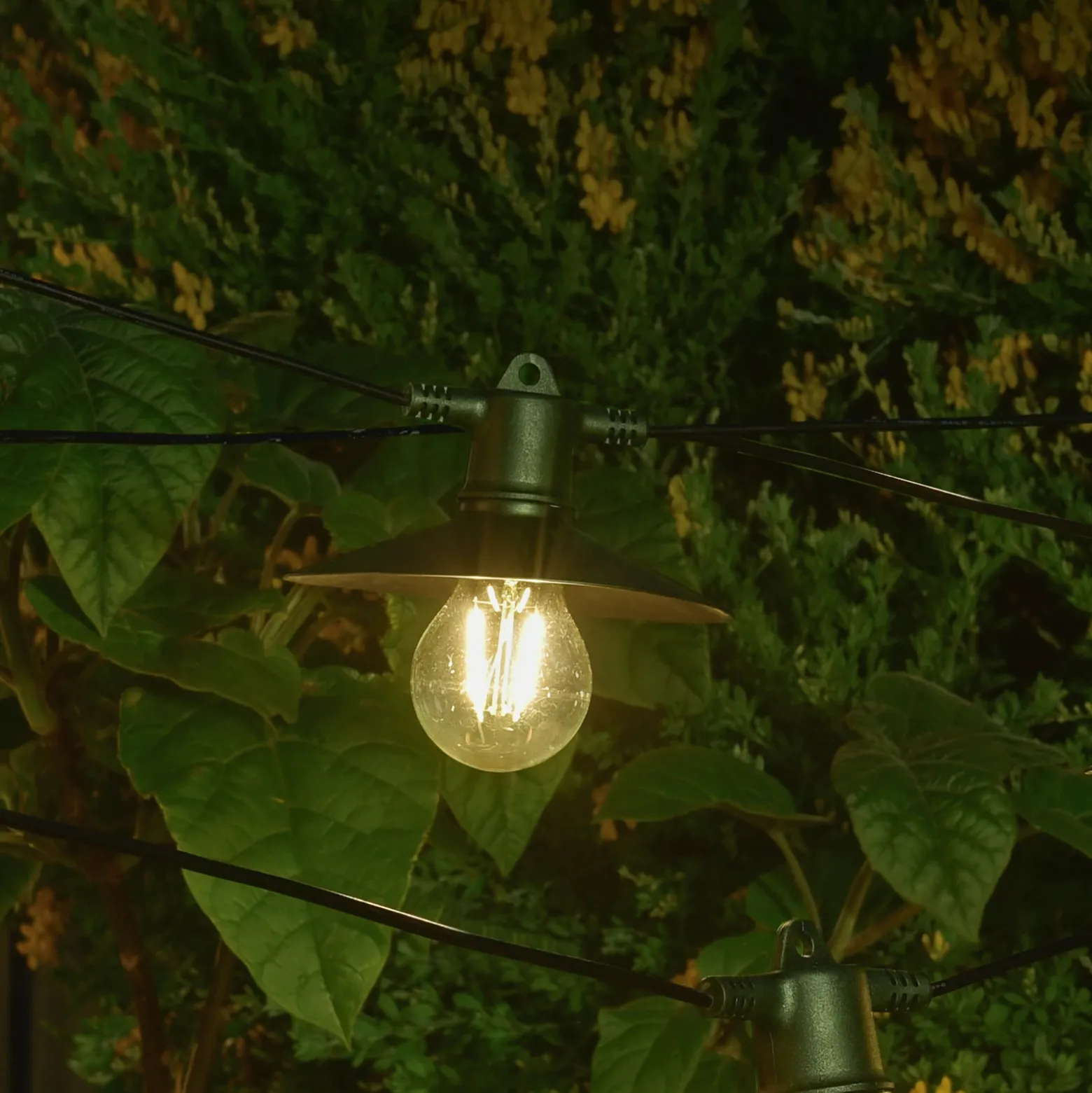 Cadena de luces LED solares Vivo 365, 8 luces IP44