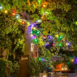 Cerveza jardín de hadas luces 10 bombillas convencionales LED