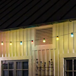 Cerveza jardín de hadas luces 10 bombillas convencionales LED
