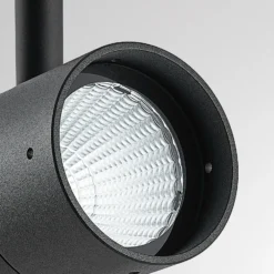 Chopa lámpara con pica LED, foco regulable en altura