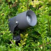 EVN Merlo Foco LED de jardín con pica de tierra, 3.000 K, 10 W