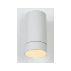 Foco de pared de exterior Taylor Sensor, 1 luz blanco