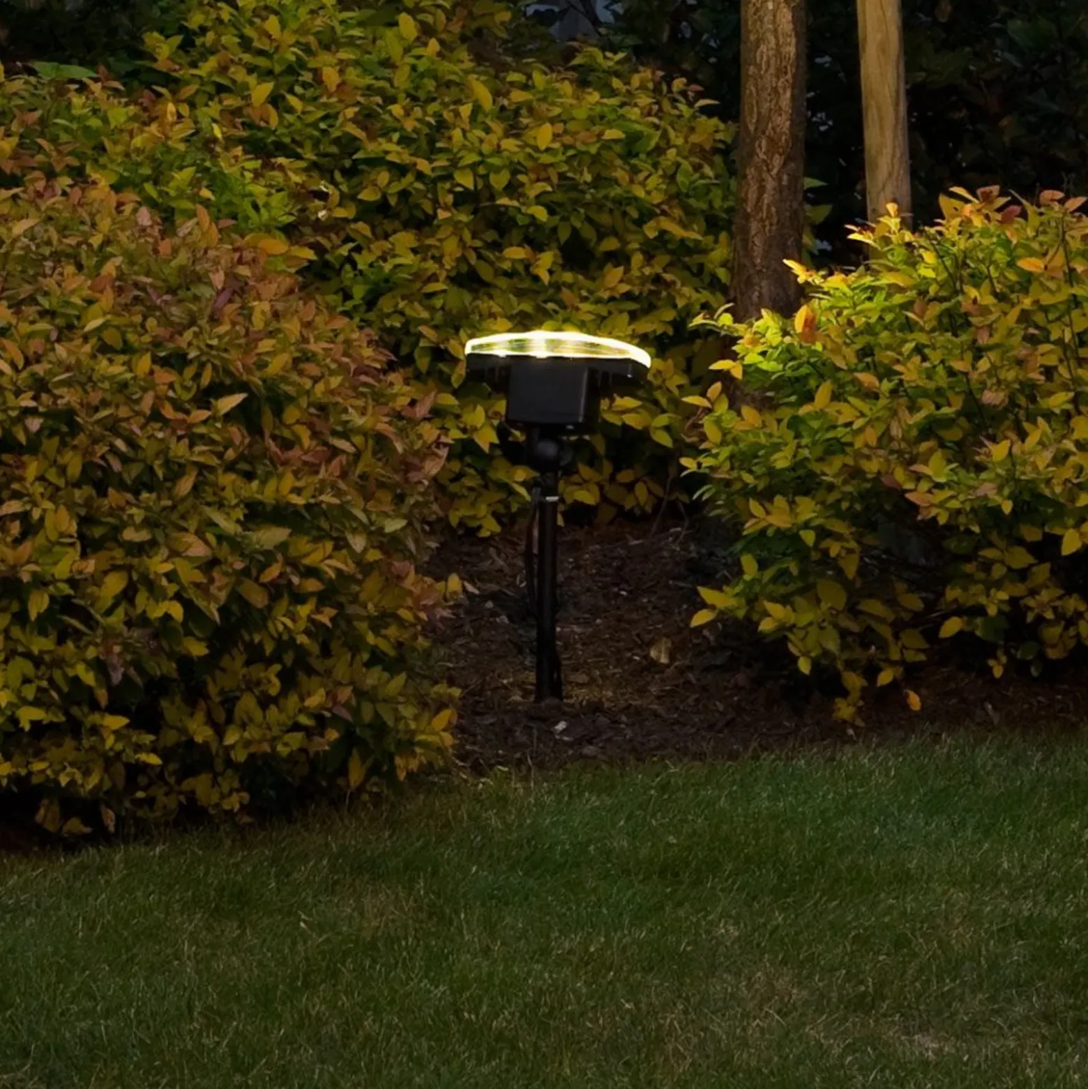 Foco exterior LED de haz extensivo Amalfi