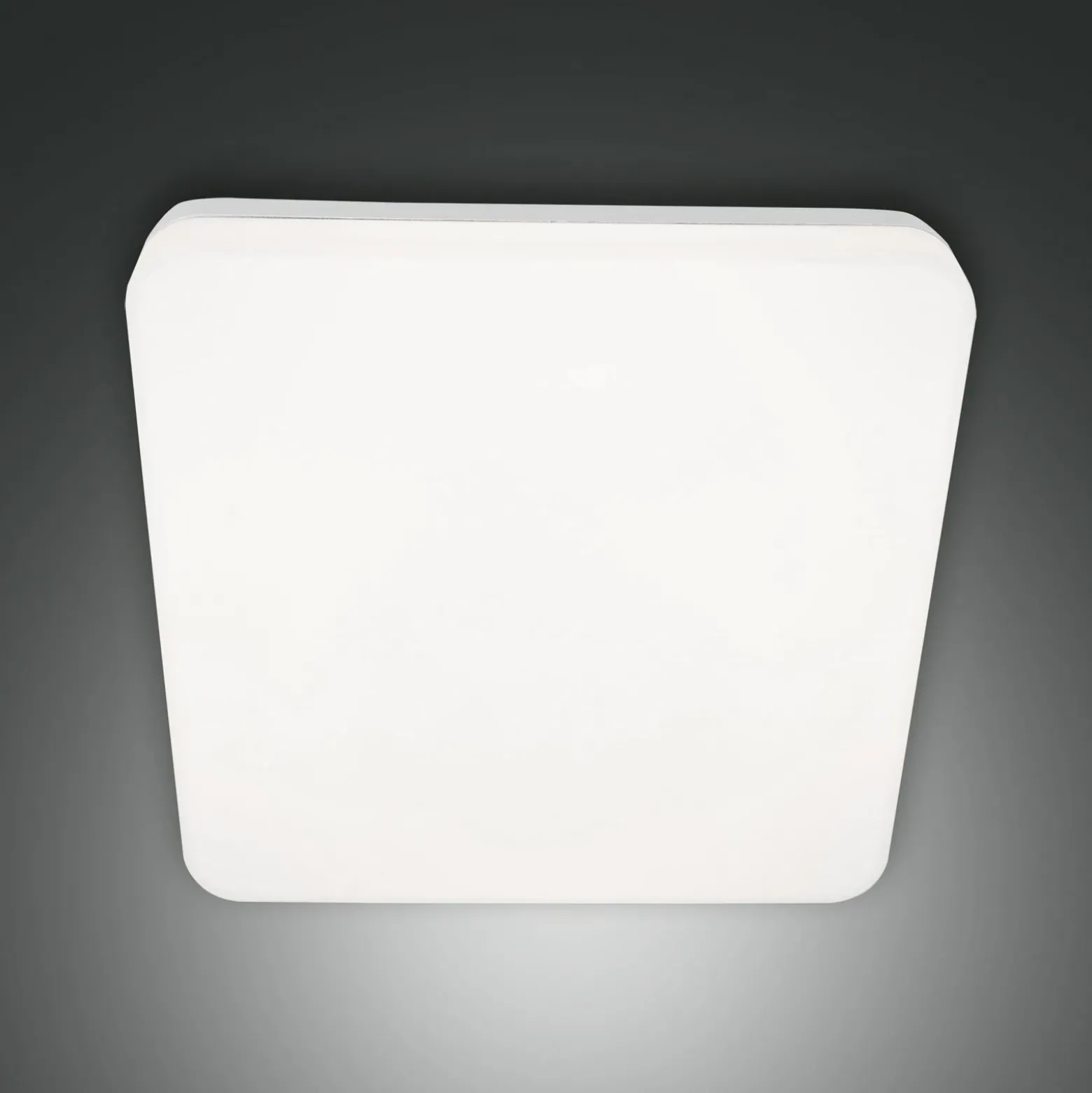 Folk LED plafón para exterior, 28 cm x 28 cm, blanco, IP65