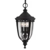 Lámpara colgante English Bridle exterior, negro
