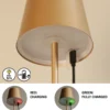 Lámpara de mesa LED recargable Viletto, marrón café, IP54