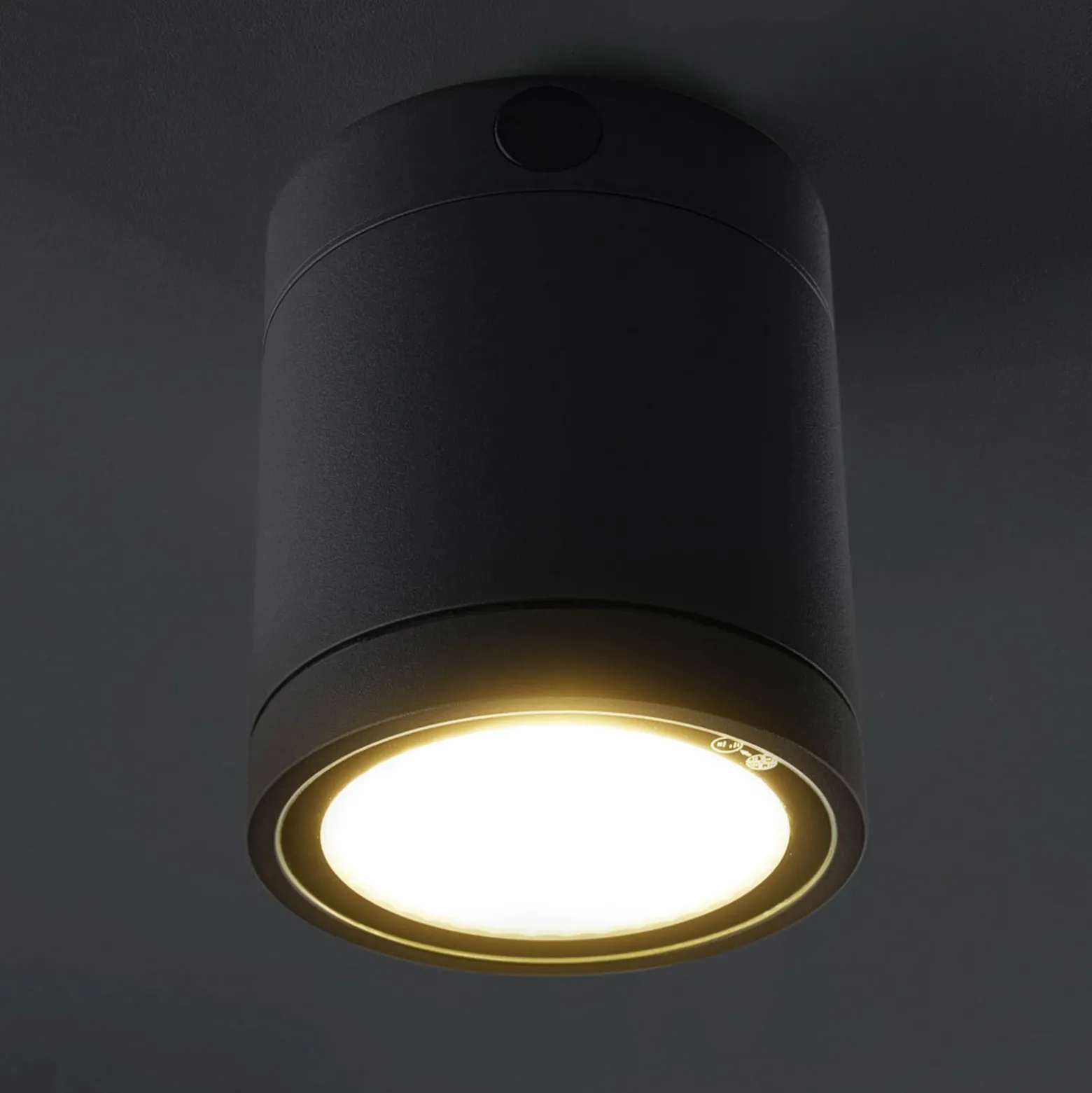 Lámpara LED de techo Negro para el exterior