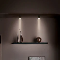 Lámpara LED de techo Negro para el exterior