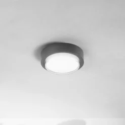 Lámpara LED de techo para exterior Owen, gris oscuro, metal, 23 cm, IP65