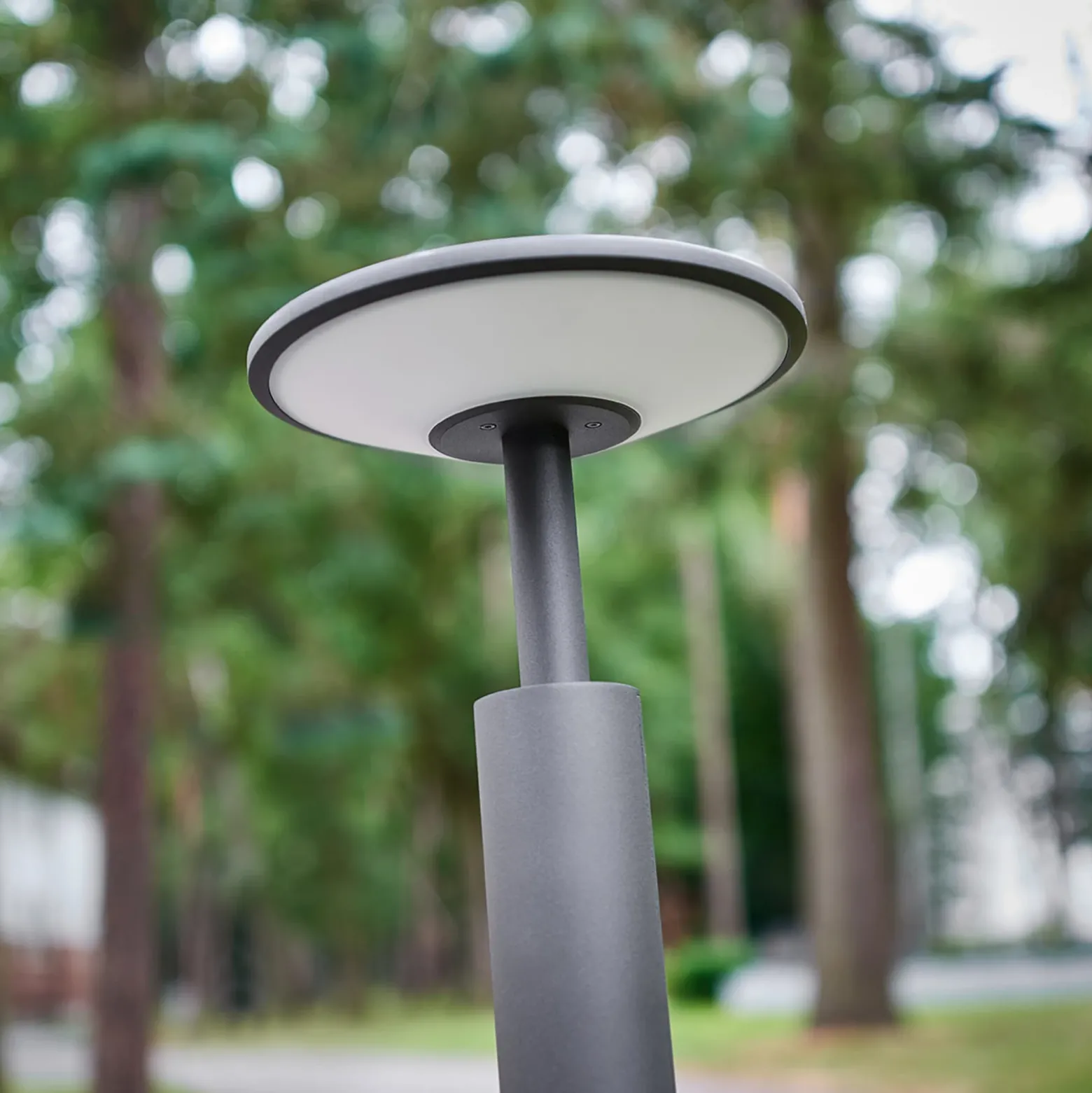 Lucande, bolardo luminoso LED Fenia, 100 cm, antracita, IP65
