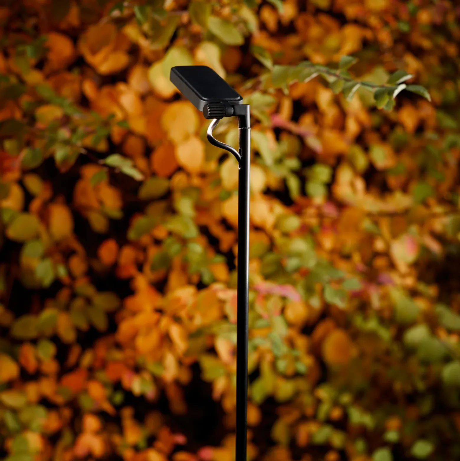 Luceplan Bolardo luminoso LED Flia, 180 cm de altura, negro, plástico