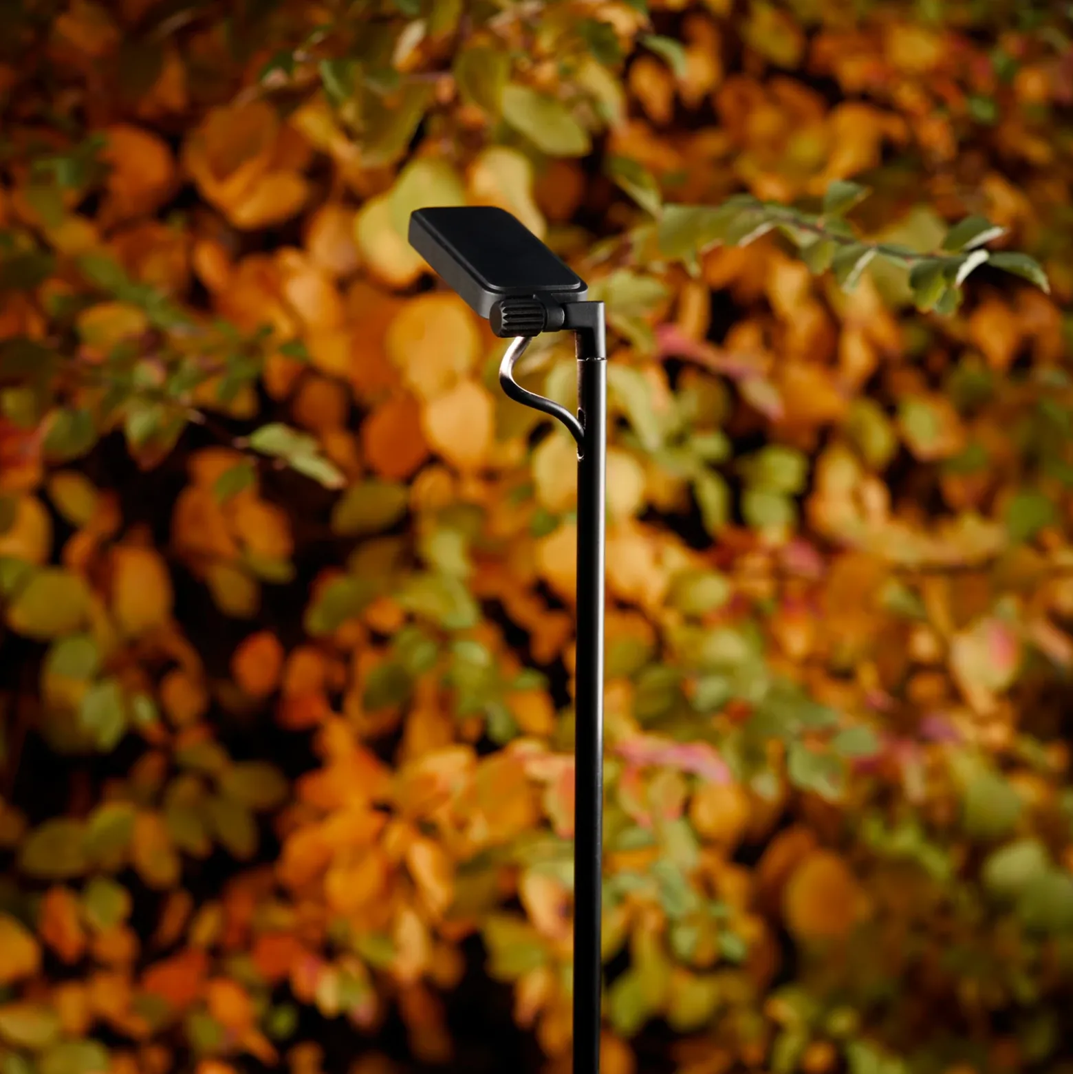 Luceplan Bolardo luminoso LED Flia, 75 cm de altura, negro, plástico