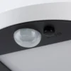 Paulmann aplique de exterior LED solar Ryse blanco