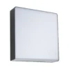 Paulmann Aplique de exterior LED Azalena, sensor, antracita