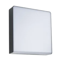 Paulmann Aplique de exterior LED Azalena, sensor, antracita