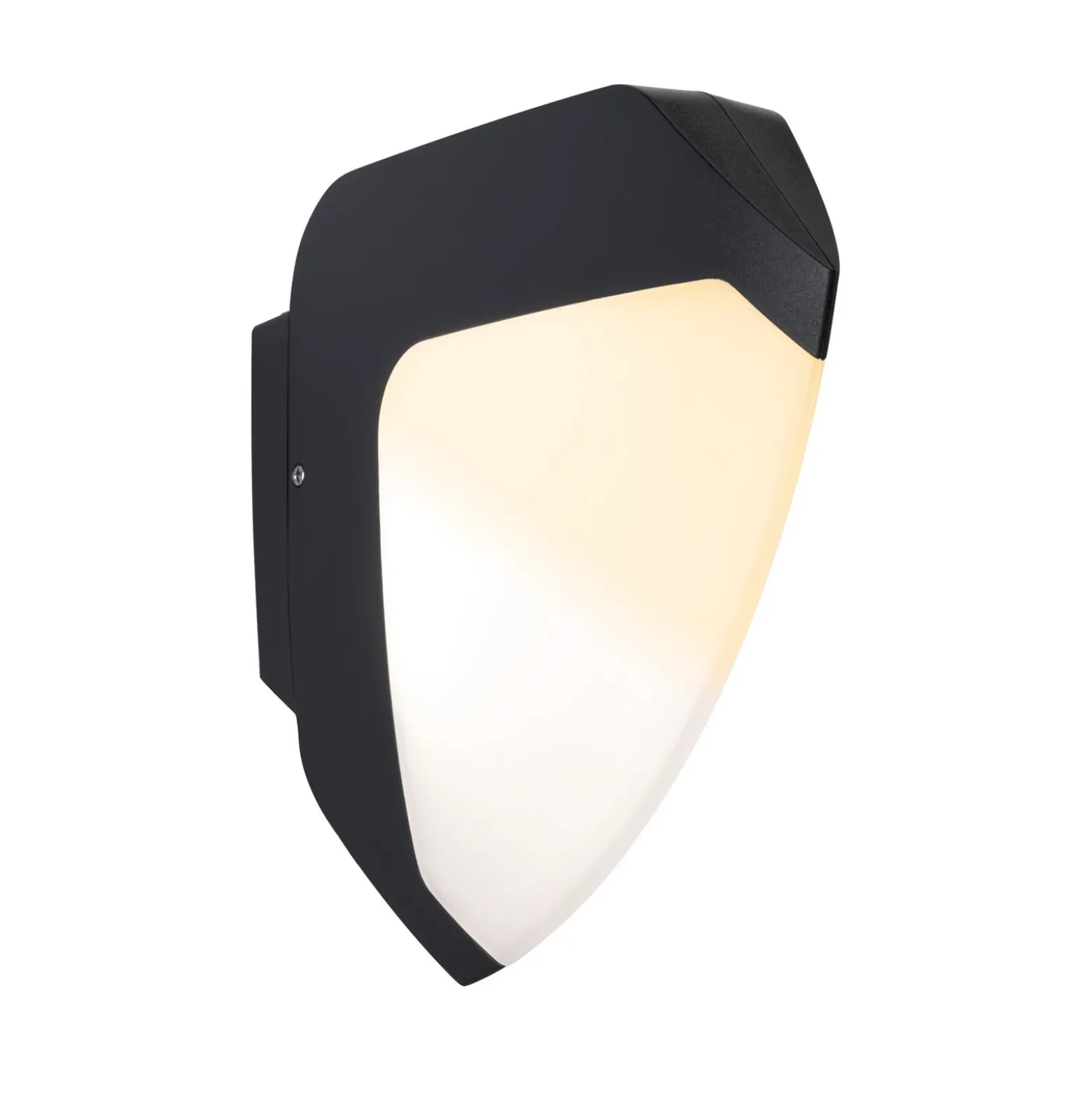 Paulmann Ikosea Aplique LED para exterior, ZigBee 3.0