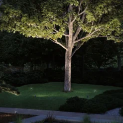 Paulmann Plug & Shine LED foco con pica Radon