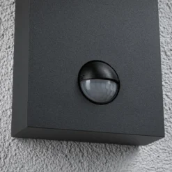 Paulmann Puka Aplique de exterior LED con sensor
