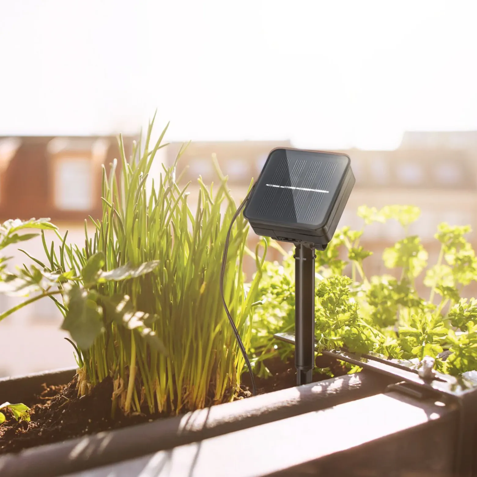 Paulmann 78897 Tira LED solar 3 metros, RGB