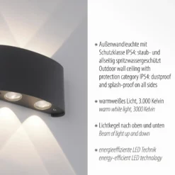 Paul Neuhaus Aplique LED para exterior Carlo, 13 cm, negro