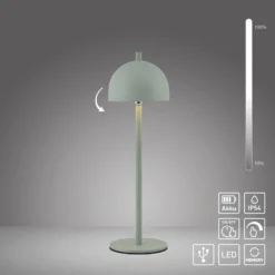 SCHÖNER WOHNEN Lámpara de mesa LED recargable Bellies, despertar primaveral