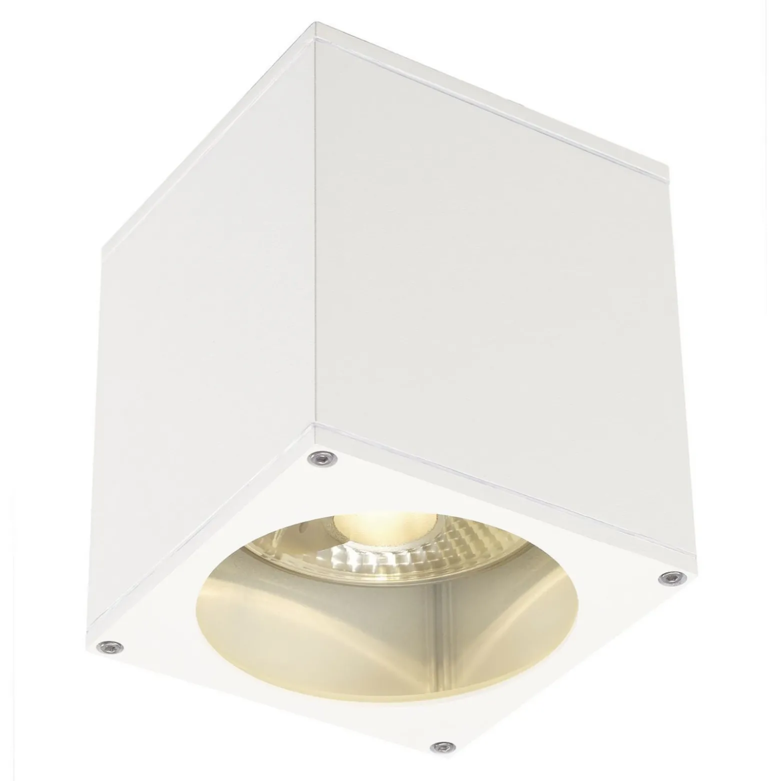 SLV Big Theo plafón para exterior, blanco